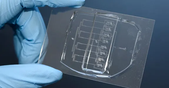 Photo of a researcher wearing blue glove holding up the microfluidic guilltone, which is smaller than a credit card and transparent, with numerous tiny channels.