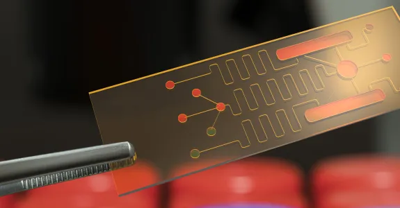Photo of a pair of tweezers holding up a small microfluidics chip.