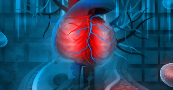 Graphic image of heart and blood vessels.