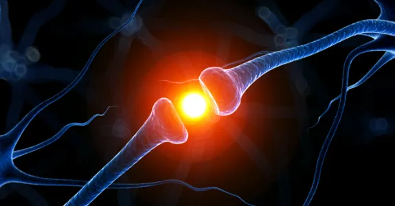 Graphic image of neurons.