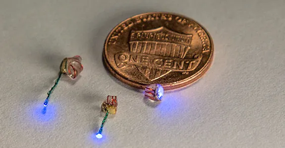 Photo of implantable light devices.