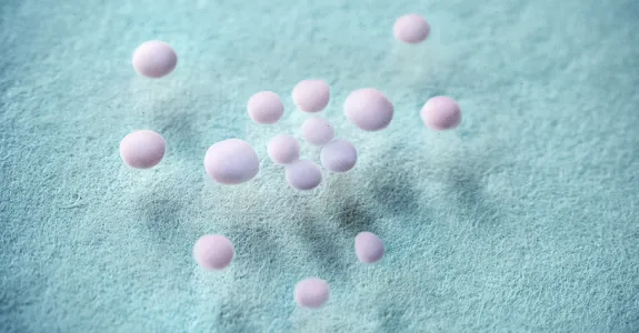 Image of organoids, tiny spheres shown in purple suspended above a blue background.