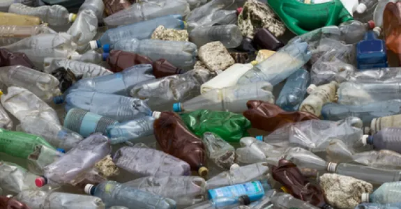 Photo of plastic bottle waste.