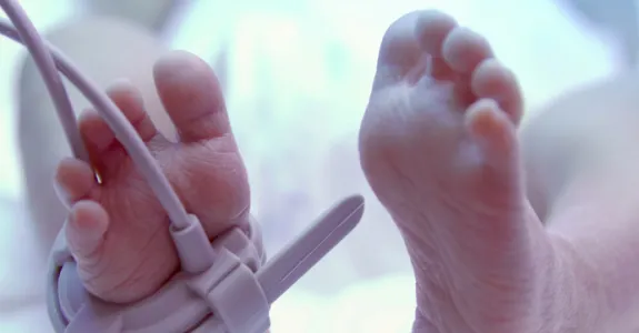 Photo of baby's feet.
