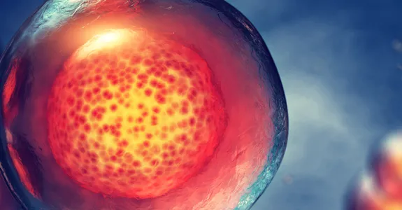 Graphic image of stem cells.