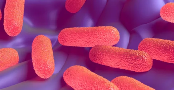 Graphic image showing pink salmonella bacteria against purple background.