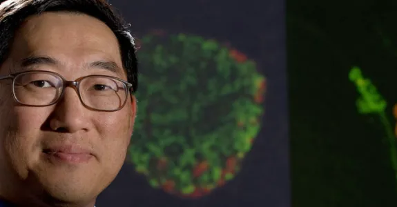 Photo of Dr. Seung Kim.