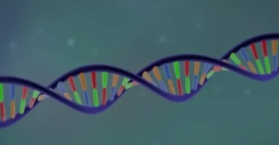 Screenshot from video.