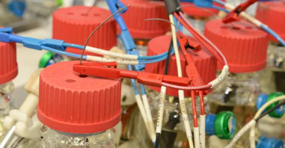 Photo of compounds in the Spormann lab.
