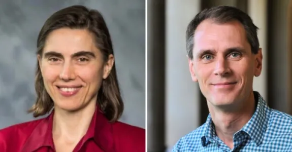 Headshot photos of Dr. Konstantina Stankovic and Dr. David Studdert.