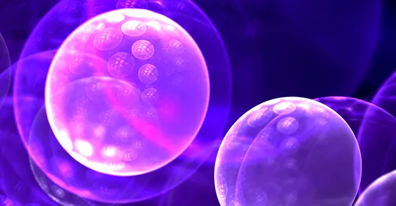 Graphic illustration of cells in purple with tiny chromosomes showing.