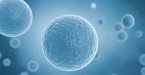 Graphic image of stem cells.