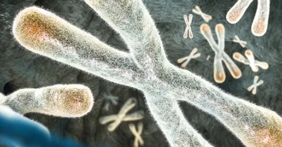 Graphic image of chromosomes.