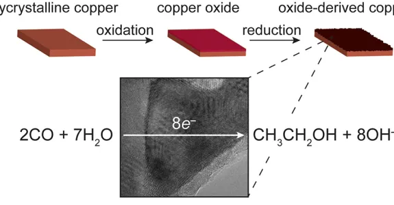 Diagram from study published in Nature.