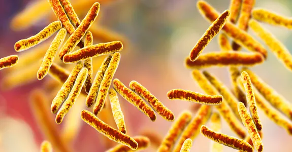 graphic image of tuberculosis bacteria on a colorful background