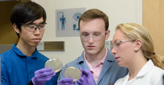 Photo of students Christian Choe, left, Zach Rosenthal and Maria Filsinger Interrante, examining petri dishes in the laboratory.