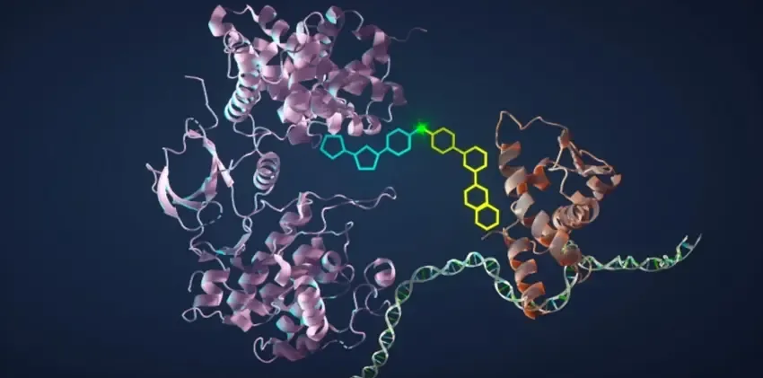 Graphic image of two twisting proteins attached together by linkages with honeycomb shapes.
