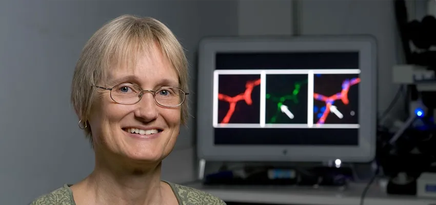 Photo of Dr. Katrin Andreasson in front of a computer monitor screen showing brain images.