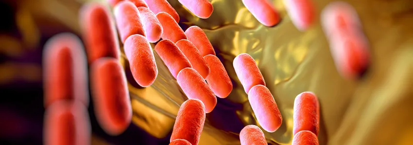 Graphic image of bacteria.