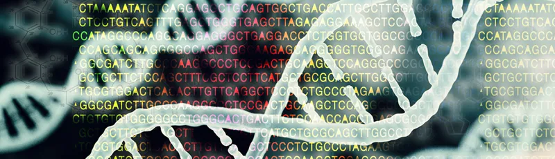 Graphic illustration of DNA strands in front of colored field of DNA amino acid letters.