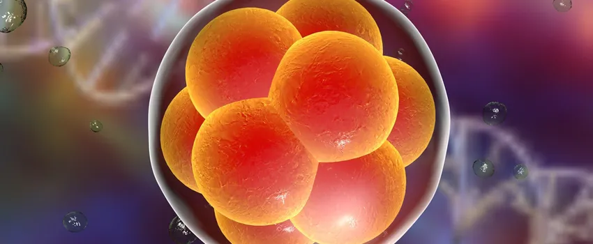 Graphic image of cells.