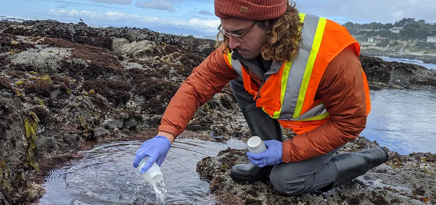 Photo of a graduate student wearing an orange safety vest and a beanie, pouring water from a white container into a tidepool at the beach.