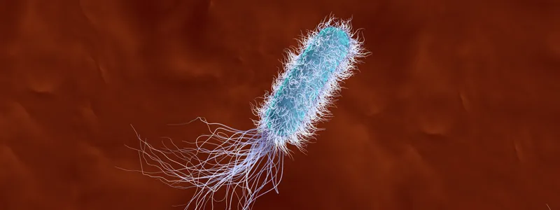 Graphic image of a rod-shaped virus with cilia, in blue on a brown background.