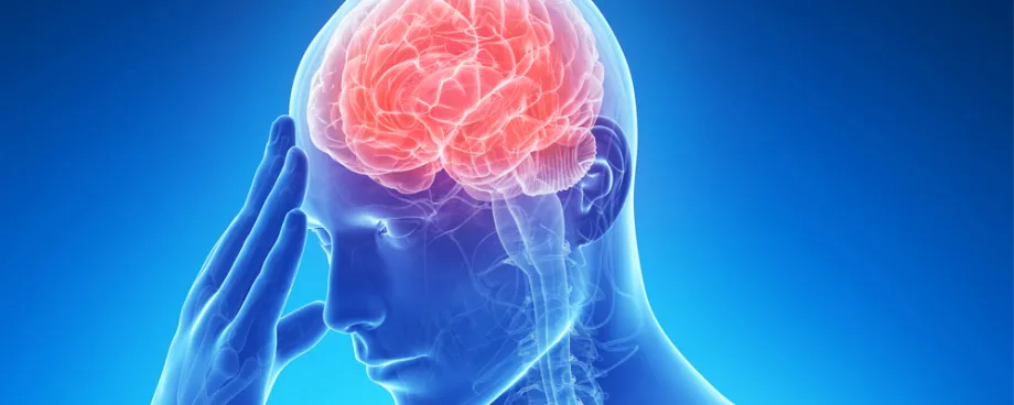 Graphic image of brain.