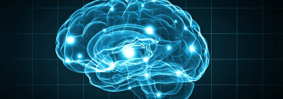 Graphic image of activity in brain.