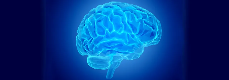 Graphic image of brain.