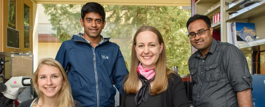 Photo of graduate students Kiah Hardcastle and Niru Maheswaranathan and Drs. Lisa Giocomo and Surya Ganguli in laboratory space.
