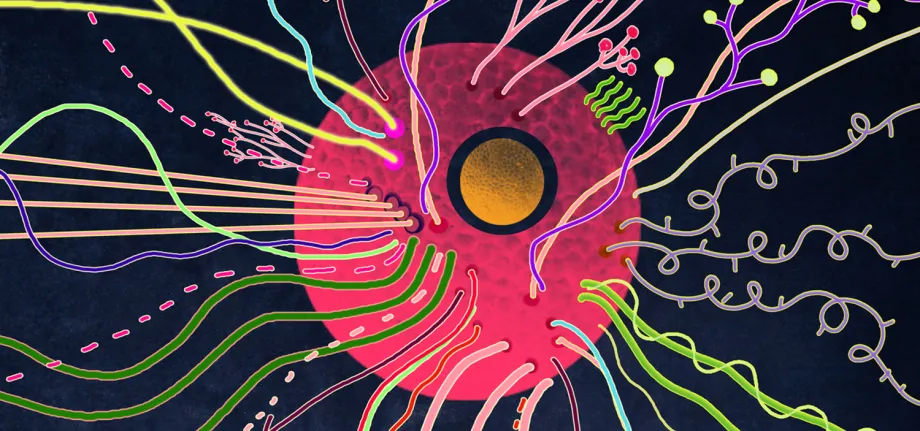 Illustration of a pink cell with colorful lines coming out of it in all directions.