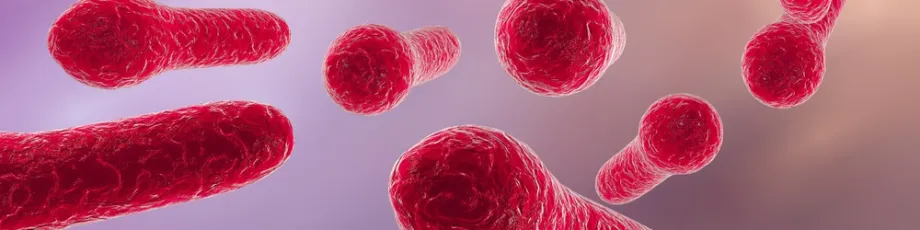Graphic image of C. difficile pathogen.
