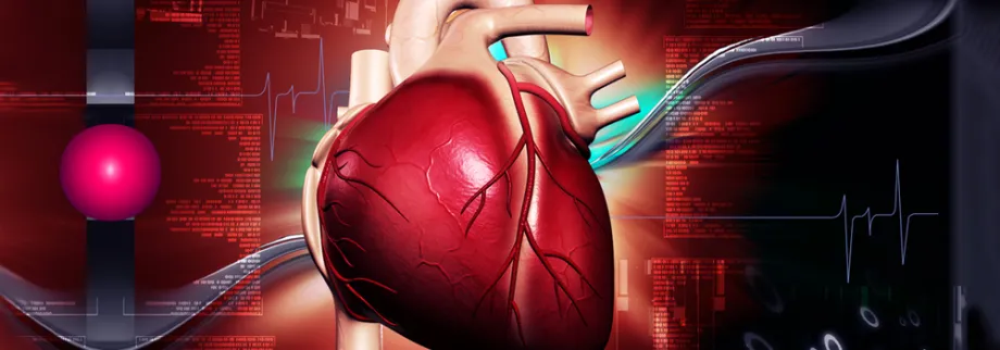 Graphic image of heart and scientific notations.