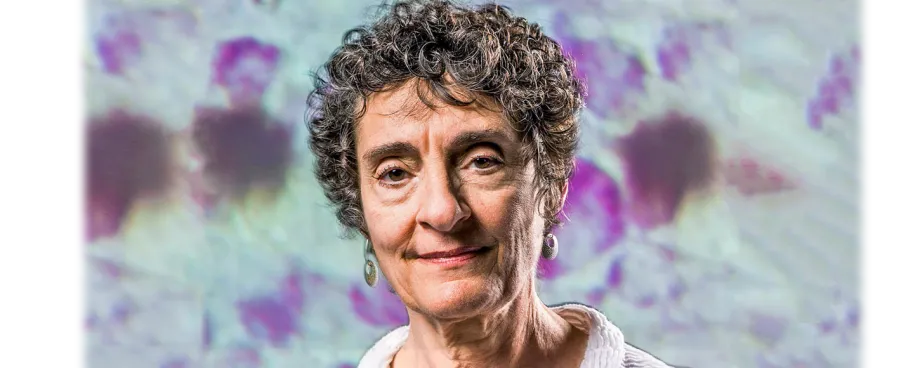 Photo of Dr. Carla Shatz.