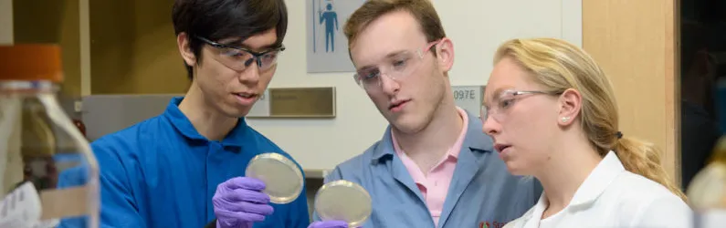 Photo of undergrads Christian Choe, Zach Rosenthal, and Maria Filsinger Interrante.
