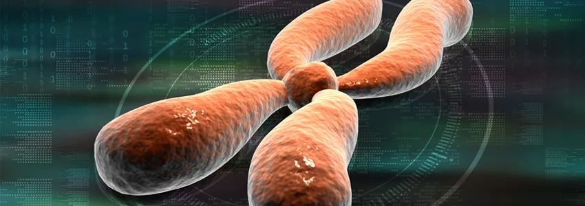 Graphic image of chromosome.