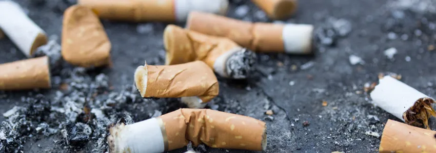Photo of numerous cigarette butts on black pavement.