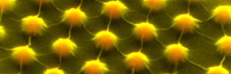Colorized image, enlarged 100,000 times, shows an ultrathin layer of molybdenum disulfide stretched over the peaks and valleys of part of an electronic device. 