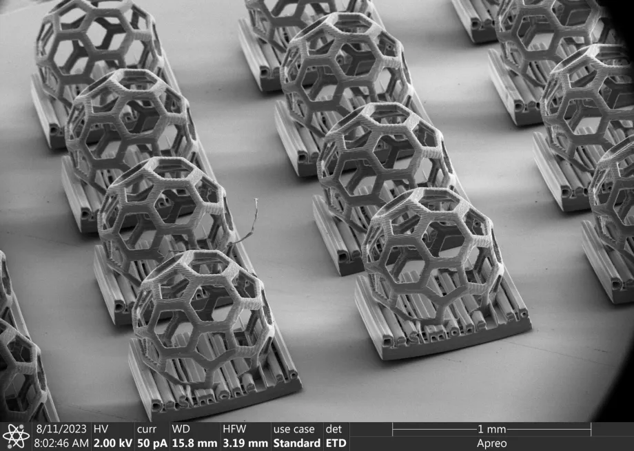 Black and white image of small 3D 'buckyball' structures of interlocking hexagons creating a mesh-like ball, each on an individual plate. Scale bar at the bottom indicates they are all less than 1 milimeter across.