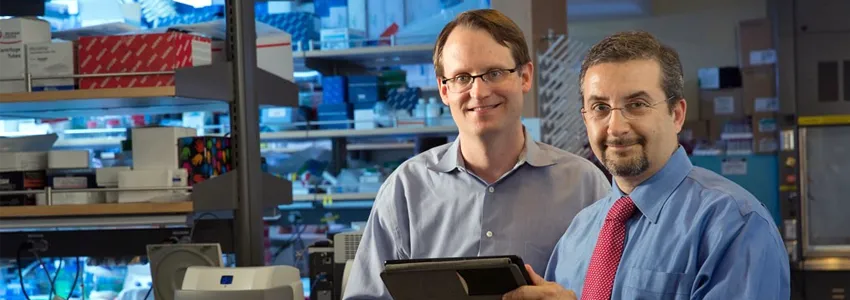 Photo of Drs. Diehn and Alizadeh.