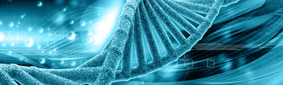 Graphic image of DNA.
