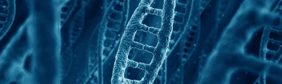 Graphic image of DNA strands.
