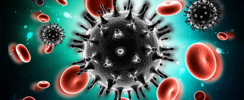 Graphic image depicting virus cells in bloodstream.