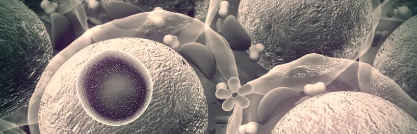 Graphic image of enzyme molecules.