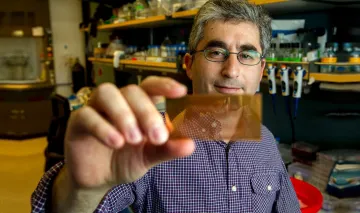 Photo of Dr. Brian Feldman