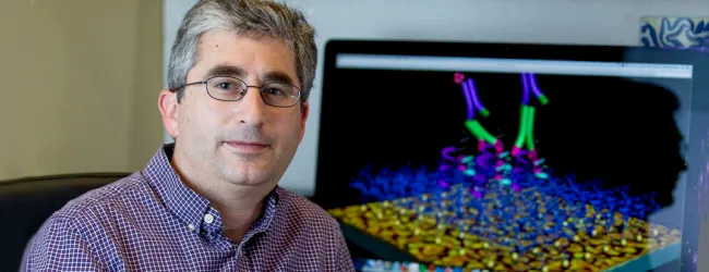 Photo of Dr. Brian Feldman.