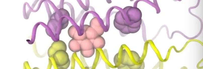 Screenshot from simulation graphically depicting cellular transport.