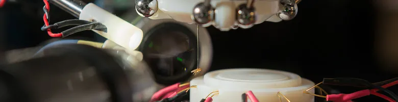 Fly being held by robot.