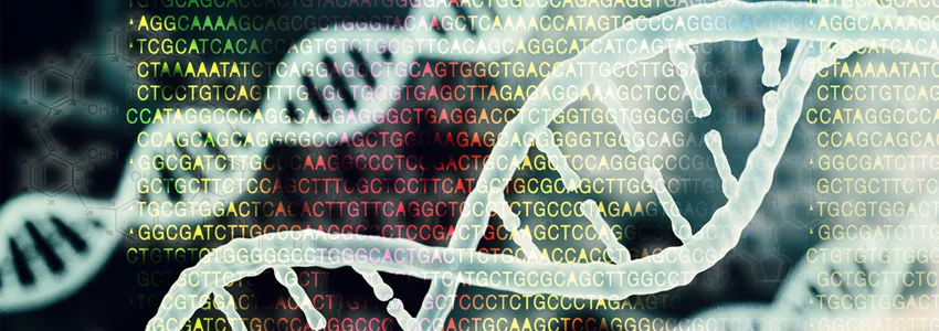 Graphic image of DNA strands with overlay of genome sequence letters.